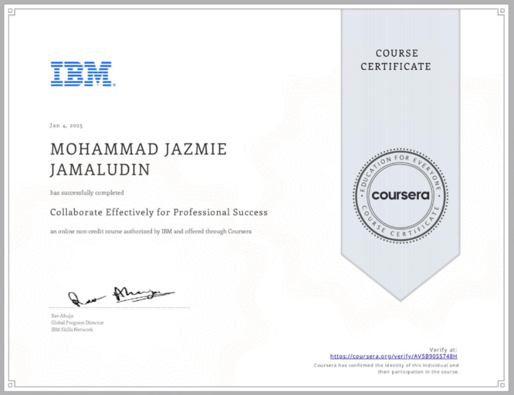 Collaborate Effectively for Professional Success